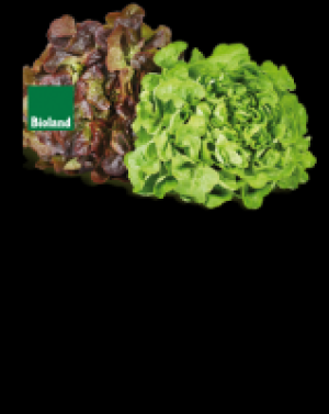 Blattsalate 0.97 €