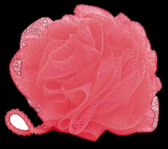 for your Beauty Dusch-Netzball