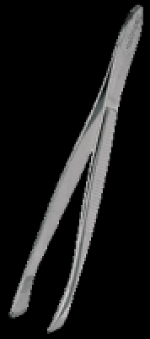 for your Beauty Pinzette schräg