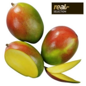 Elfenbeink&uuml;ste Mango Keith 1.99&nbsp;&euro;