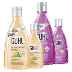 Guhl Shampoo 2.99 €