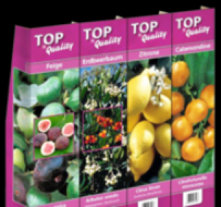 Verschiedene Pflanzen