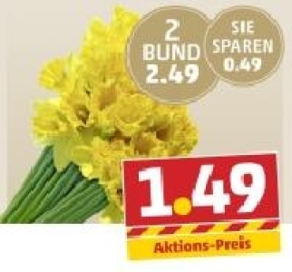 Wundersch&ouml;ne Narzissen