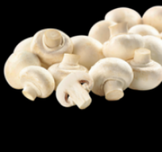 Weiße Champignons 1.11 €