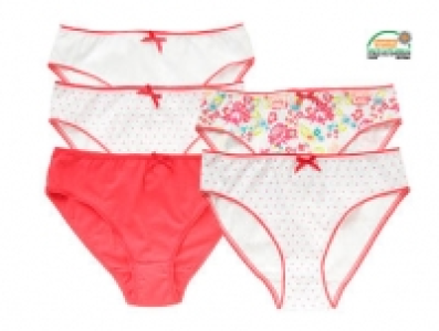 Damenslip 3.99 €