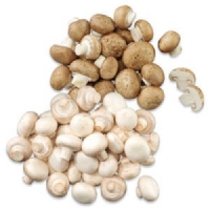Niederlande/Polen Champignons, wei&szlig; oder Champignons, braun 1.29&nbsp;&euro;