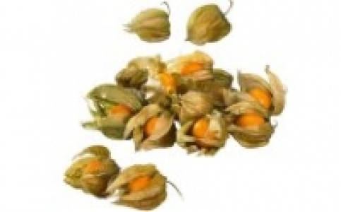 Physalis 0.88&nbsp;&euro;