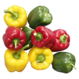Niederlande Paprika rot, gelb oder grün 2.99 €