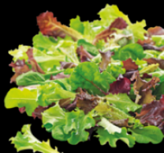 Pfl&uuml;cksalat 0.69&nbsp;&euro;