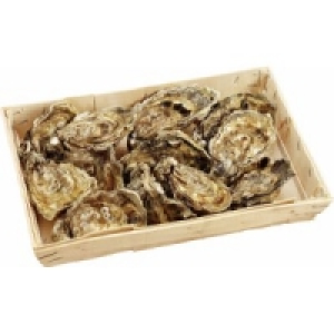 Felsenauster Fine de Claire Nr.2 0.99 €