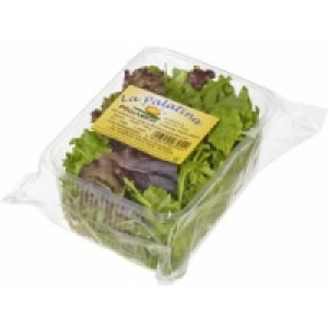 Pfl&uuml;cksalat 0.79&nbsp;&euro;