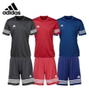 Trikot oder Shorts 14.99&nbsp;&euro;