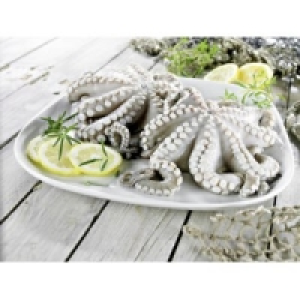 Krake/Pulpo 10.99&nbsp;&euro;