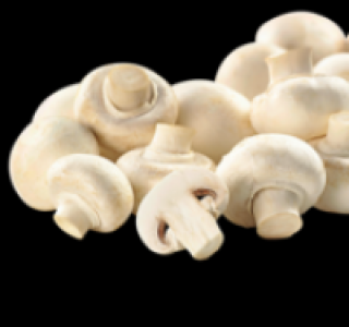 Weiße Champignons 1.11 €