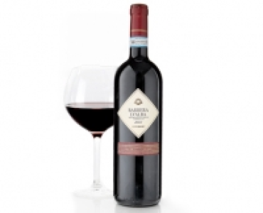 2013 Barbera dAlba DOC Superiore