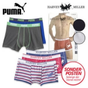 Herren-Retroshorts 12.99 €