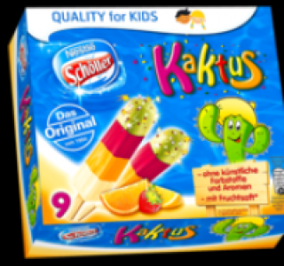 SCH&Ouml;LLER Kaktus 1.99&nbsp;&euro;
