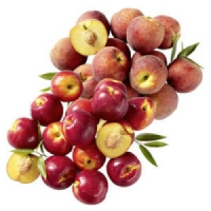 Spanien Nektarinen oder Pfirsiche 1.79 €