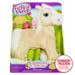 Laufende Pony-Mama 15.00&nbsp;&euro;