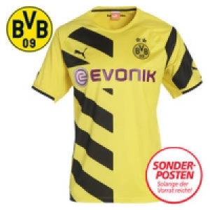 Herren-Trikot 44.95 €