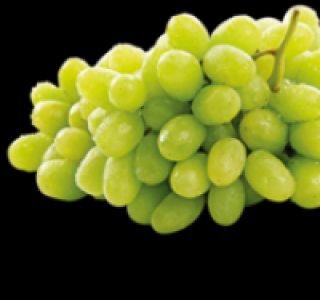 Helle Tafeltrauben 1.49 €