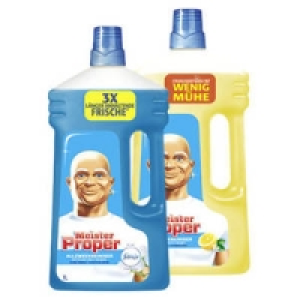 Meister Proper-Reiniger 1.29 €