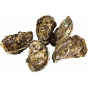 Felsenauster Fine de Claire Nr.2 0.79 €
