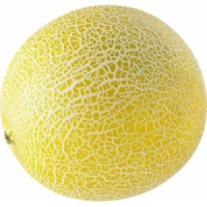 Galia-/Honig-/Cantaloupemelonen 1.49&nbsp;&euro;