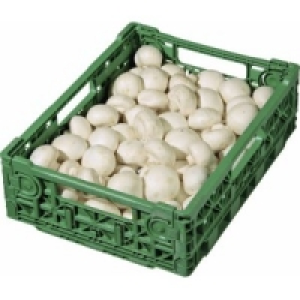 Champignons wei&szlig;
