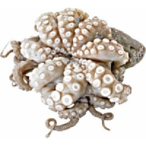 Krake/Pulpo 12.99&nbsp;&euro;