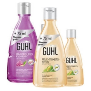 Guhl Shampoo 2.99 €