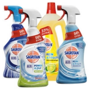 Sagrotan Alles-in-1-Reiniger 2.85&nbsp;&euro;