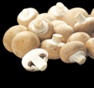 Braune Champignons 0.89 €