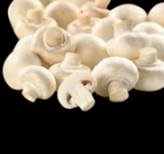 Weiße Champignons 1.11 €