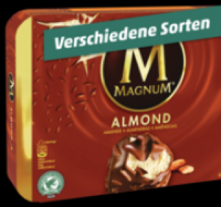 LANGNESE Magnum Eis 1.99 €