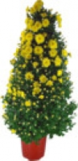 Chrysanthemen- Pyramide 8.88&nbsp;&euro;