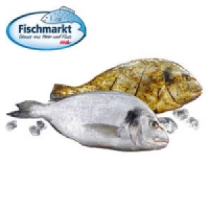 Dorade Royale, natur oder grillfertig mariniert