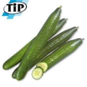 Deutschland/Niederlande Salatgurken 0.49 €