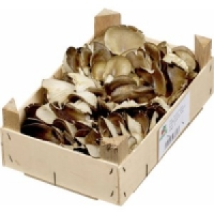 Austernpilze 6.99 €