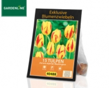 GARDENLINE&reg;Exklusive Herbst-Blumenzwiebeln
