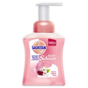 Sagrotan Samt-Schaum 2.99&nbsp;&euro;