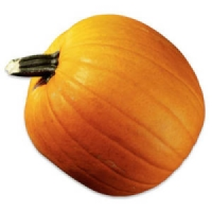 Deutschland Halloween Speisek&uuml;rbis 3.99&nbsp;&euro;