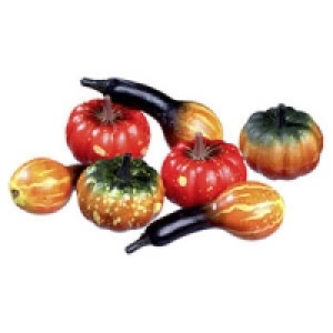 Zierk&uuml;rbisse 0.99&nbsp;&euro;