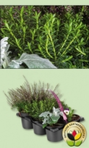 Heidegarten Mix 3.99 €