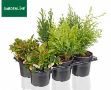 GARDENLINE&reg;Herbstmix