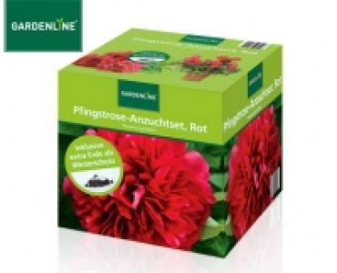 GARDENLINE&reg;Pfingstrose-Anzuchtset