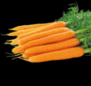 Bundmöhren 0.79 €