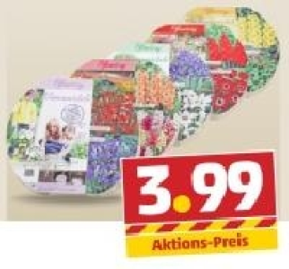 45 Blumenzwiebeln in einem Tray