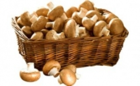 Champignons braun 0.88 €