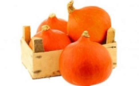 Hokkaido-Kürbis 0.88 €